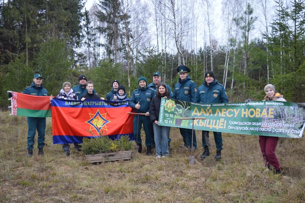 Дай лесу новае жыццё в Барановичах МЧС